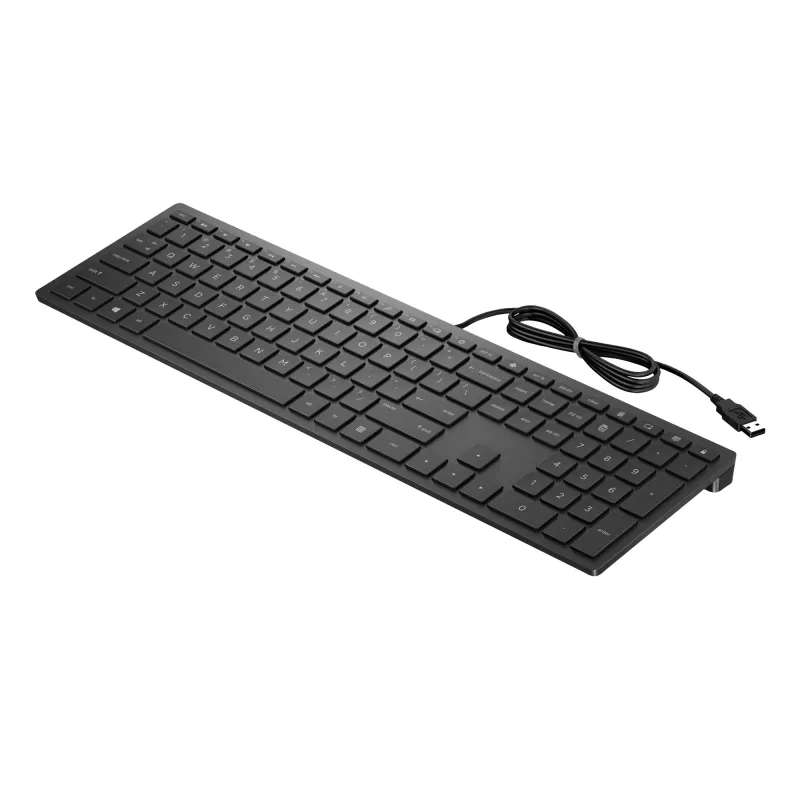 HP Pavilion tastiera cablata 300, full-size (100%), cablata, USB, meccanica, nero