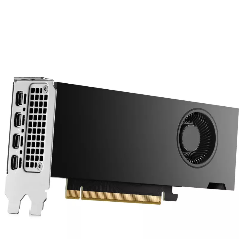 HP NVIDIA RTX 2000 Ada 16GB GDDR6 Scheda grafica, 4x Mini DisplayPort (8D6B8AA)