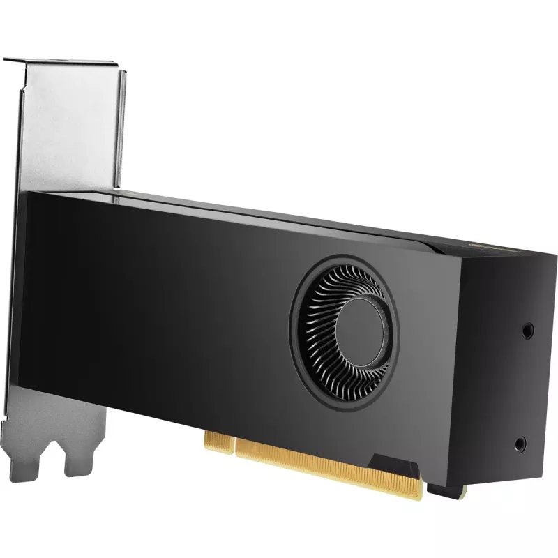 HP NVIDIA RTX 2000 Ada 16GB GDDR6 Scheda grafica, 4x Mini DisplayPort (8D6B8AA)