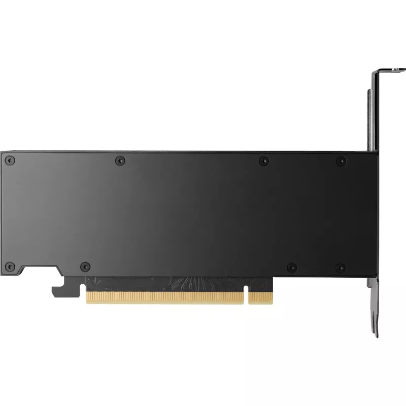 HP NVIDIA RTX 2000 Ada 16GB GDDR6 Scheda grafica, 4x Mini DisplayPort (8D6B8AA)