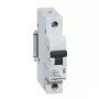 Legrand RX3 interruttore automatico interruttore automatico miniaturizzato tipo B 1