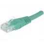 Cavo di rete Hypertec 244710-HY verde 1 m Cat6 U/UTP (UTP)