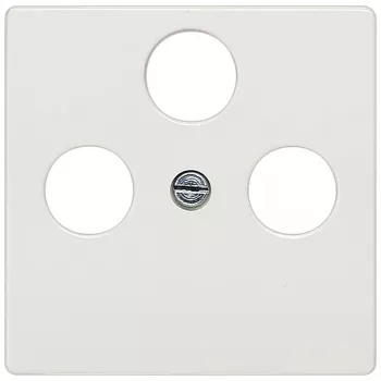 Siemens 5TG2548-2 placca a parete/copertura interruttore