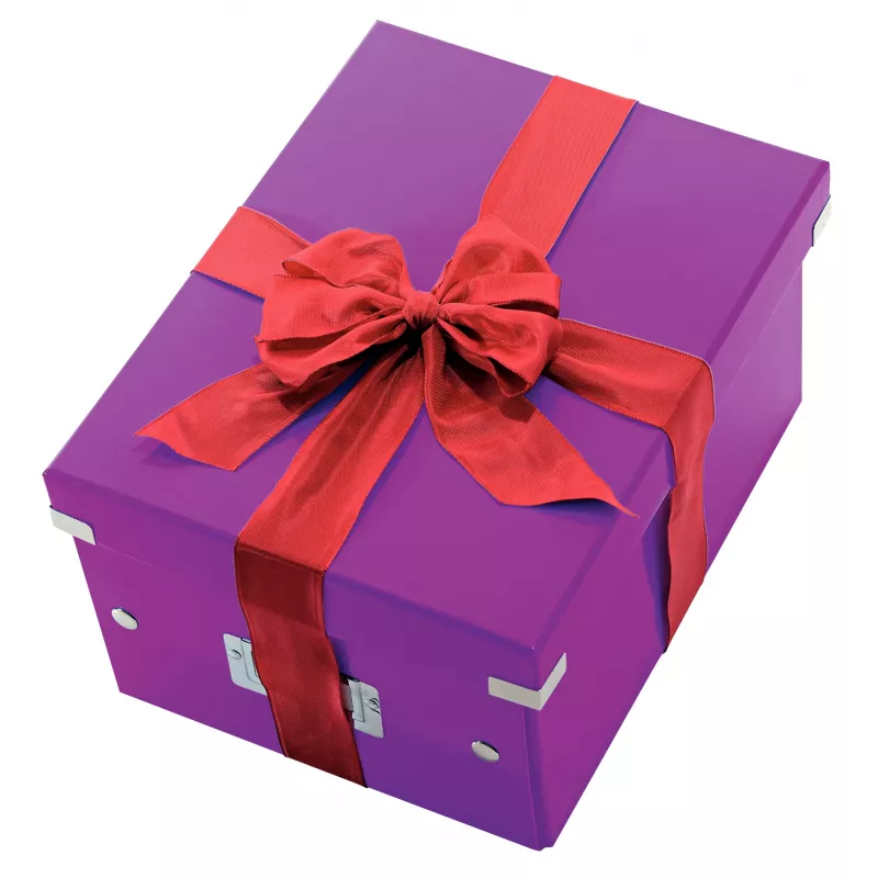 Scatola portadocumenti media Leitz Click & Store WOW, viola, cartone, 16,7 L, 281 mm, 200 mm, 265 x 335 x 188 mm