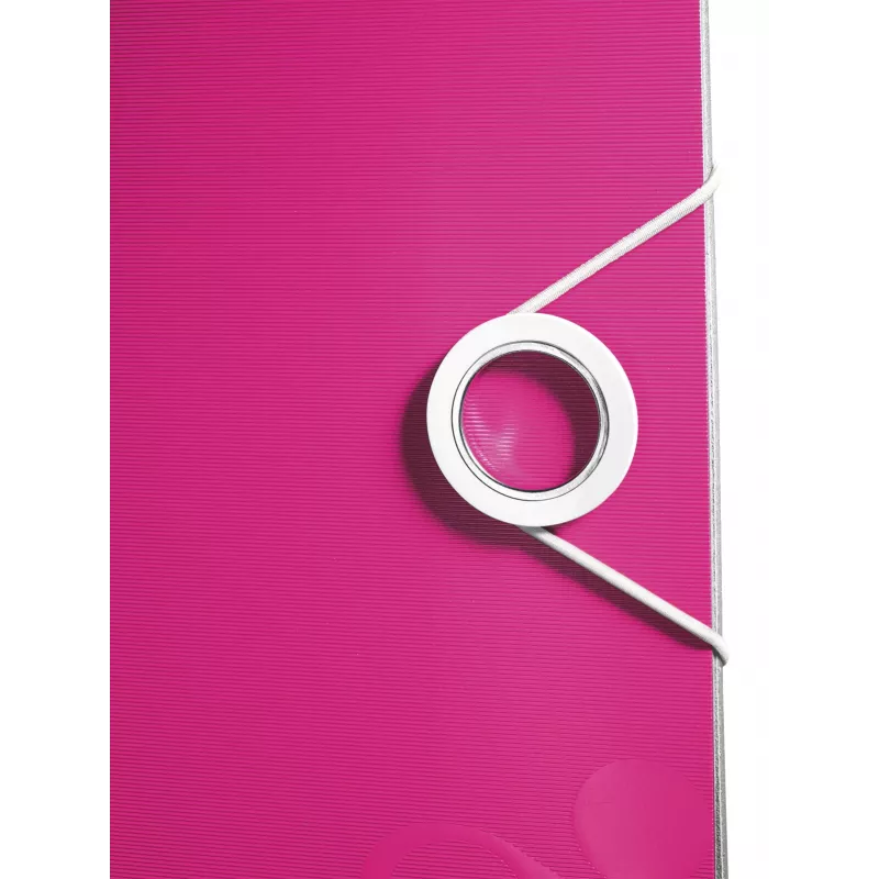 Leitz raccoglitore ad anelli Active PP WOW A4/80mm, A4, Polyfoam, rosa, 500 fogli, 80 g/m², 8,2 cm