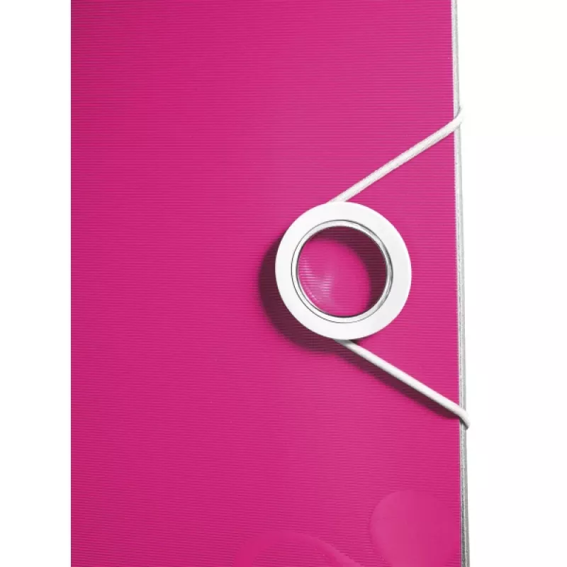 Leitz raccoglitore Active PP WOW A4/65mm, A4, Polyfoam, rosa, 350 fogli, 80 g/m², 6,5 cm
