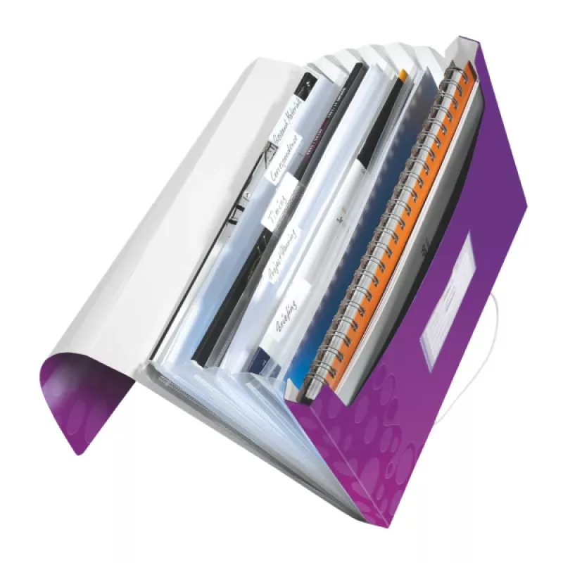 Leitz cartella progetto WOW PP, A4, polipropilene (PP), viola, 200 fogli, 254 mm, 38 mm