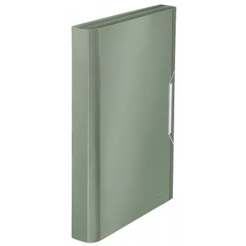 Leitz cartella a soffietto espandibile in PP, A4, polipropilene (PP), verde, 250 fogli, 80 g/m², 6 scomparti