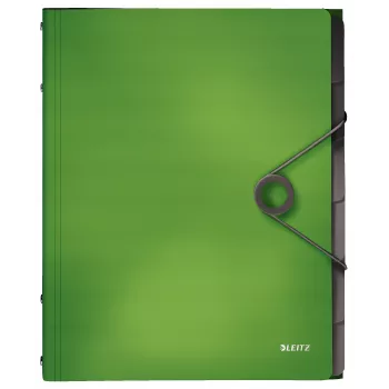 Leitz Registerbuch Solid 6 linguette, cartella a soffietto, A4, polipropilene (PP), verde, 200 fogli, 80 g/m²