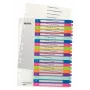 Esselte 1245-00-00 indice numerico in polipropilene (PP) multicolore