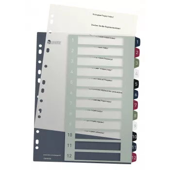 Leitz Index PC Printable 1-12 Style PP A4+, indice numerico, polipropilene (PP), multicolore, verticale, A4 Maxi, 245 mm