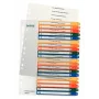 Leitz 12960000 indice a linguette numerico polipropilene (PP) multicolore