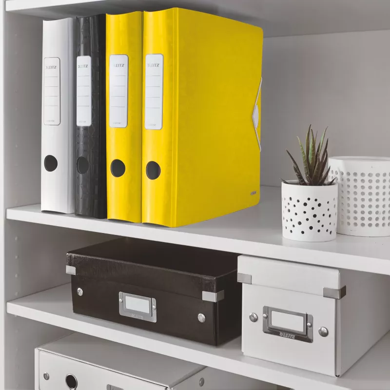 Leitz Raccoglitore ad anelli Active PP WOW A4/65 mm, A4, anello a D, archivio, polyfoam, giallo, 350 fogli