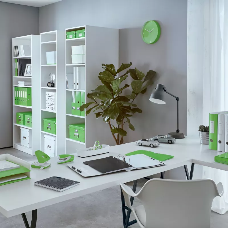 Leitz Raccoglitore a leva Active PP WOW A4/65 mm, A4, anello a D, archiviazione, polyfoam, verde, 350 fogli