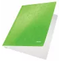 Leitz Cartella piatta cartone/cartoncino WOW A4, cartella tradizionale, A4, cartone, verde, verticale, 250 fogli