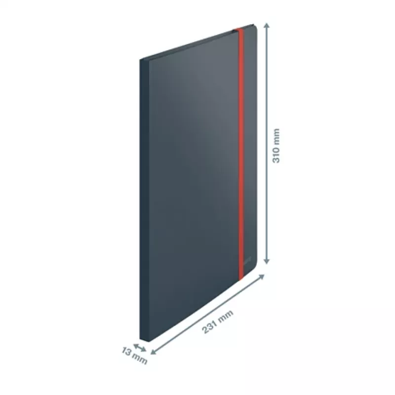 Leitz Cosy Mobile Display Book Plus, grigio, polipropilene (PP), 20 tasche, verticale, A4, 231 mm