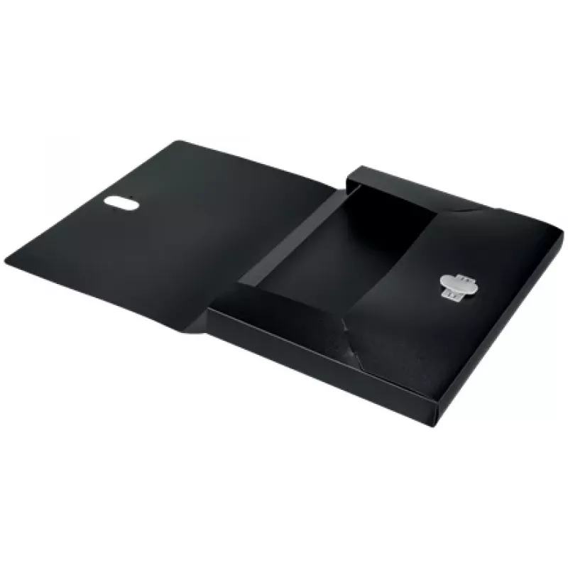 Leitz Recycle Box File, cartella portadocumenti, A4, polipropilene (PP), nero, opaco, 250 fogli