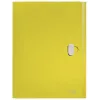 Leitz Recycle Box File, raccoglitore tradizionale, A4, polipropilene (PP), giallo, orizzontale/verticale, 250 fogli
