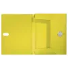 Leitz Recycle Box File, raccoglitore tradizionale, A4, polipropilene (PP), giallo, orizzontale/verticale, 250 fogli
