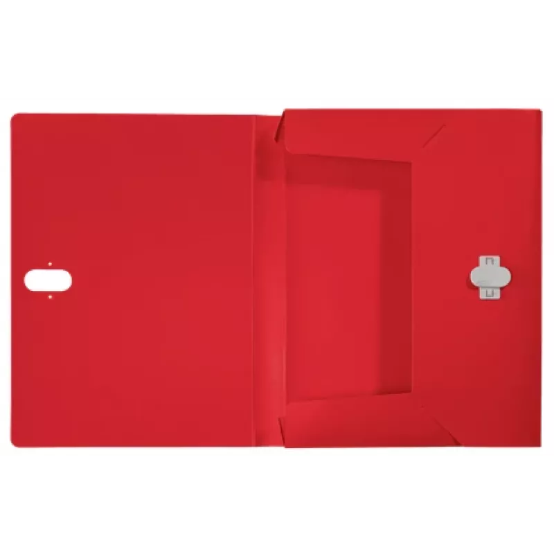 Leitz Recycle Box File, raccoglitore tradizionale, A4, polipropilene (PP), rosso, orizzontale/verticale, 250 fogli
