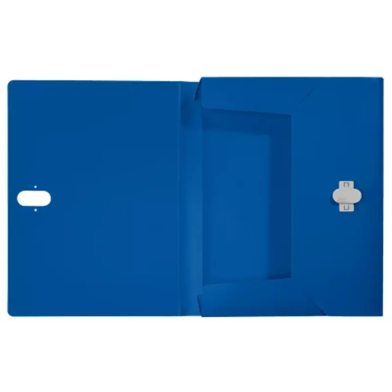 Leitz Recycle Box File, raccoglitore tradizionale, A4, polipropilene (PP), blu, orizzontale/verticale, 250 fogli