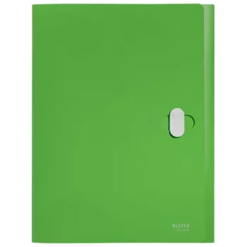 Leitz Recycle Box File, raccoglitore tradizionale, A4, polipropilene (PP), verde, orizzontale/verticale, 250 fogli