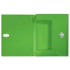 Leitz Recycle Box File, raccoglitore tradizionale, A4, polipropilene (PP), verde, orizzontale/verticale, 250 fogli