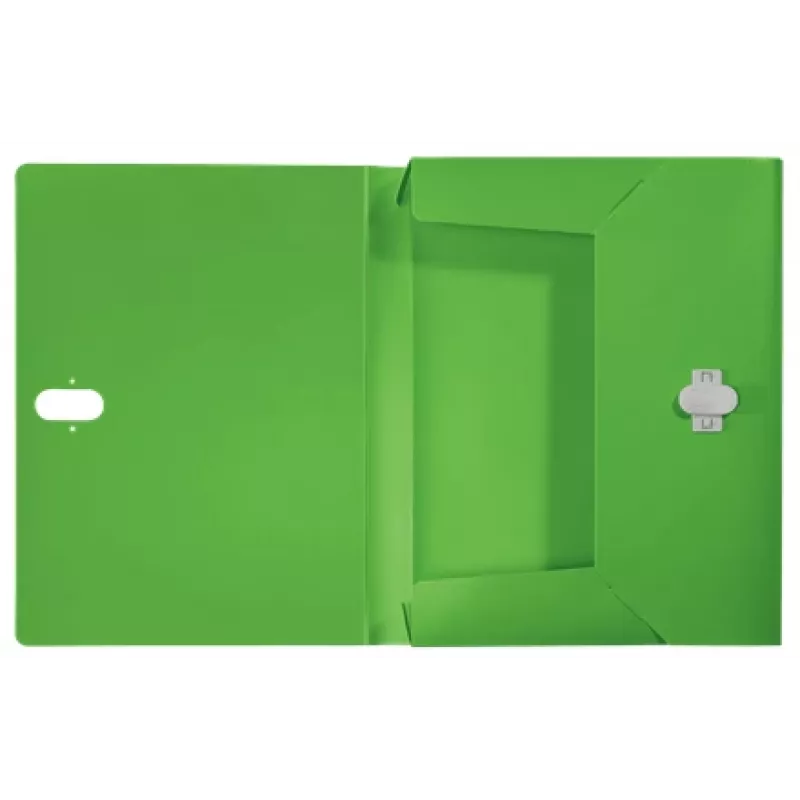 Leitz Recycle Box File, raccoglitore tradizionale, A4, polipropilene (PP), verde, orizzontale/verticale, 250 fogli