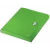 Leitz Recycle Box File, raccoglitore tradizionale, A4, polipropilene (PP), verde, orizzontale/verticale, 250 fogli