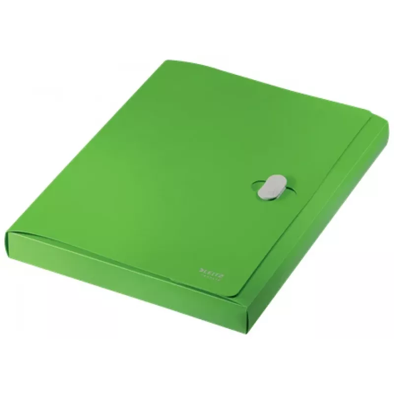 Leitz Recycle Box File, raccoglitore tradizionale, A4, polipropilene (PP), verde, orizzontale/verticale, 250 fogli