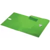 Leitz Recycle Box File, raccoglitore tradizionale, A4, polipropilene (PP), verde, orizzontale/verticale, 250 fogli