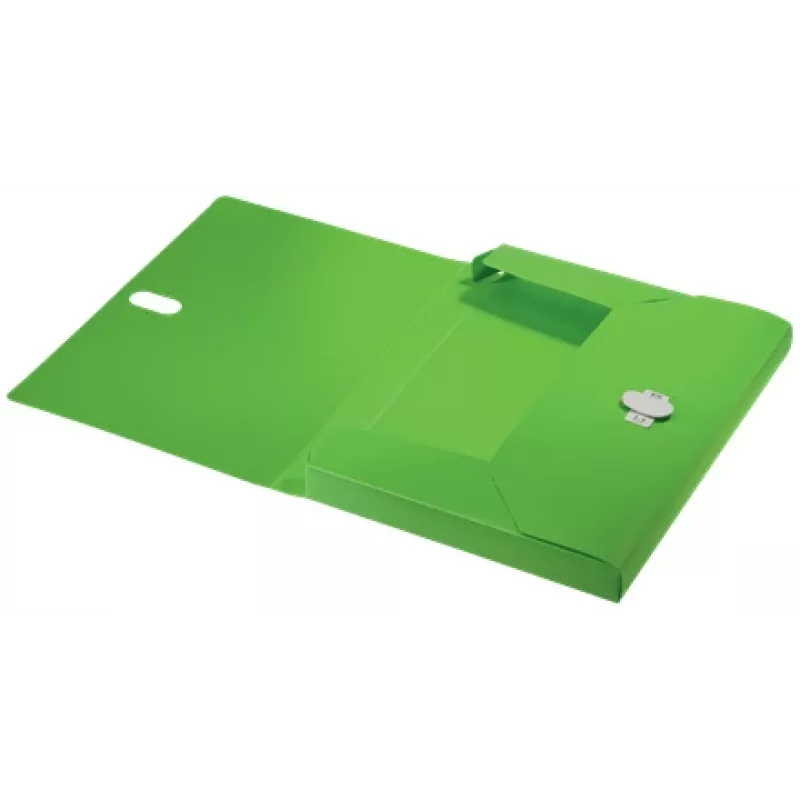Leitz Recycle Box File, raccoglitore tradizionale, A4, polipropilene (PP), verde, orizzontale/verticale, 250 fogli