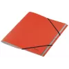 Leitz Recycle rubrica a schede in cartone, A4, cartone, rosso, 430 g/m², a impatto climatico zero, 247 mm