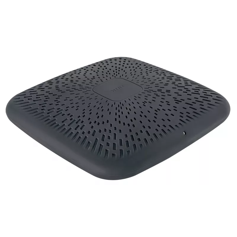 Leitz Ergo Active cuscino wobble, cuscino per equilibrio, grigio, 360 mm, 360 mm, 55 mm, 1,24 kg