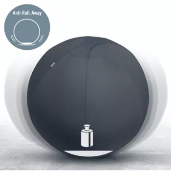 Leitz Ergo palla da seduta attiva con funzione antiscivolo 65 cm, grigio, full-size, 150 kg, TÜV, 65 cm, 2,87 kg