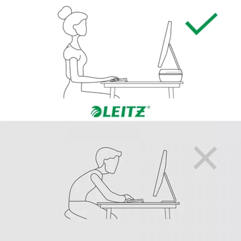 Leitz Ergo supporto monitor regolabile, autoportante, 68,6 cm (27 inch), regolabile in altezza, grigio