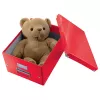 Leitz Box Click & Store WOW Cube Large scatola portaoggetti, scatola portaoggetti, rosso, rettangolare, cartone, monocolore, interni