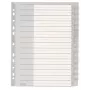 Leitz 12760000 indice con linguette bianche in plastica, grigio