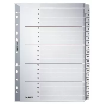 Leitz 43260000 Indice a linguette Indice a linguette numerico cartoncino grigio