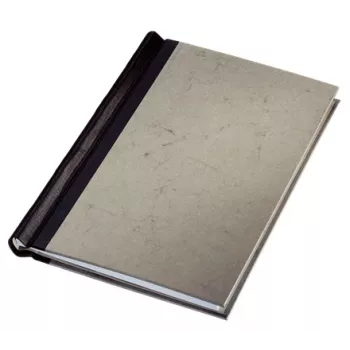 Leitz 39440085 Raccoglitore in cartone grigio A4