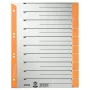 Leitz 16520045 indice a linguette registro con linguette numerico cartone grigio, arancione