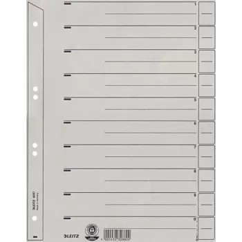 Leitz 60970085 strisce separatore cartone grigio 1 pezzo