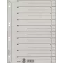 Leitz 60970085 strisce separatore cartone grigio 1 pezzo