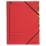 Leitz 39070025 indice a linguette rosso
