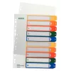 LEITZ indice in plastica, numeri, A4 extra largo, 1-10, stampabile PC, trasparente con linguette colorate, PP, 10 pezzi (1293-00-00)