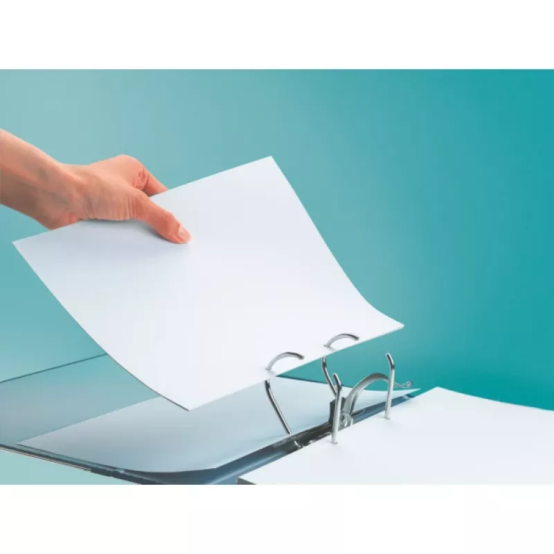 Leitz LEITZ raccoglitore standard A4 80 mm, con fessure, cartone (RC), dorso 80 mm (1080-50-25)