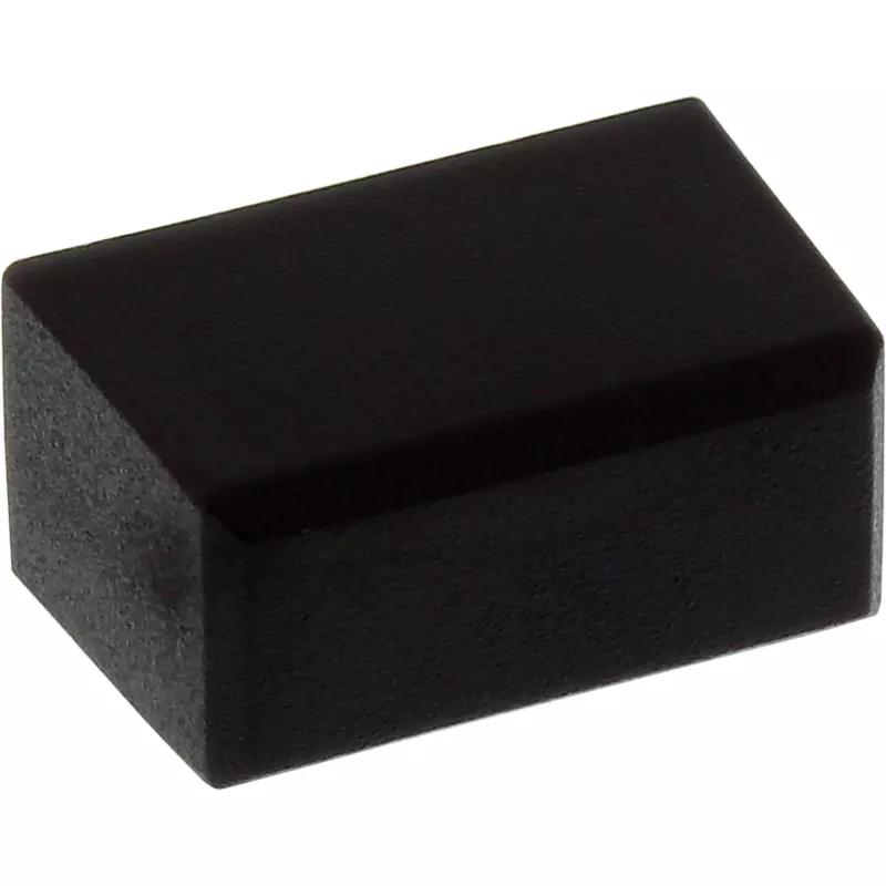 InLine tappo parapolvere per connettore DisplayPort maschio, nero, 50 pz.