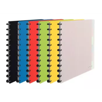 Esselte 624014 raccoglitore ad anelli A4 vari colori