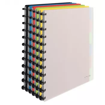 Esselte 624014 raccoglitore ad anelli A4 vari colori