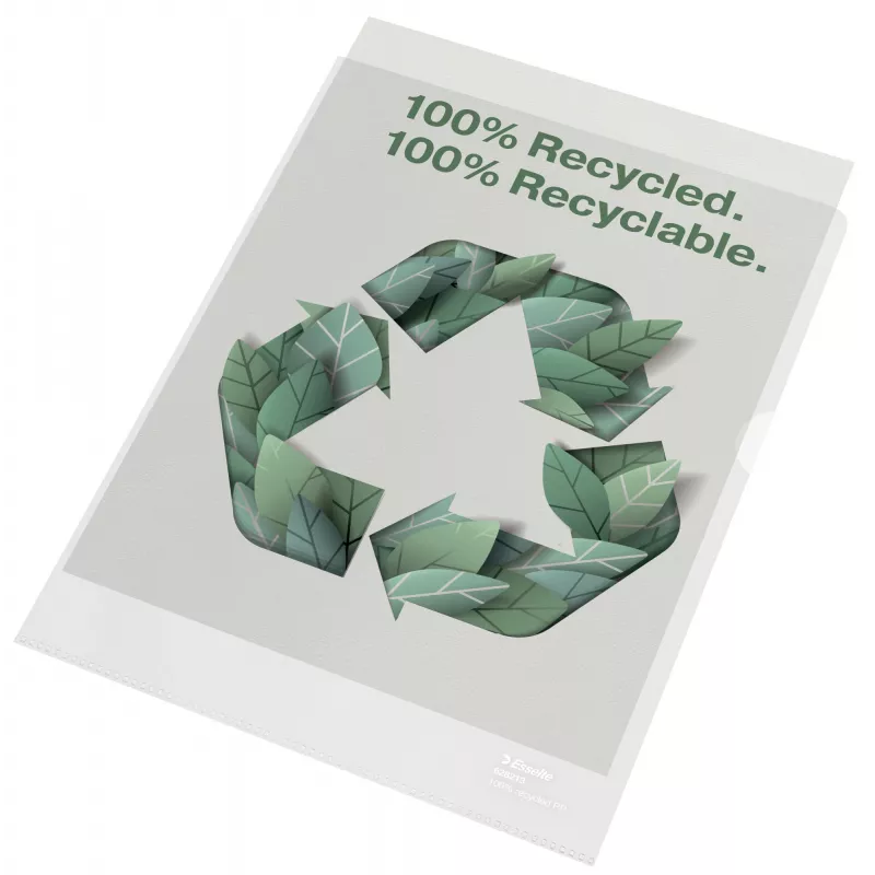 Esselte Recycle Folder A4, cartella progetto, A4, polipropilene (PP), trasparente, verticale, 220 mm